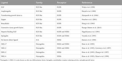 The impact of nitric oxide on HER family post-translational modification and downstream signaling in cancer